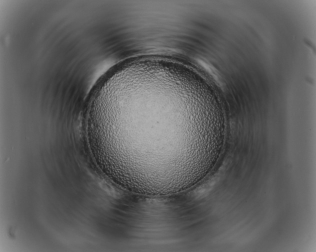 X0000091370875200708241331