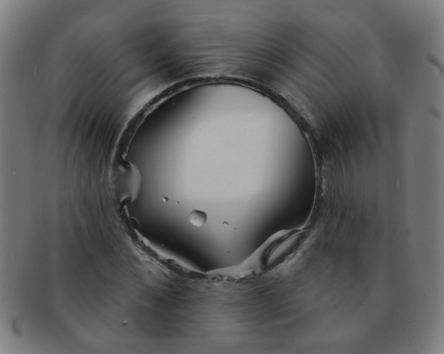 X0000091370876200708241331