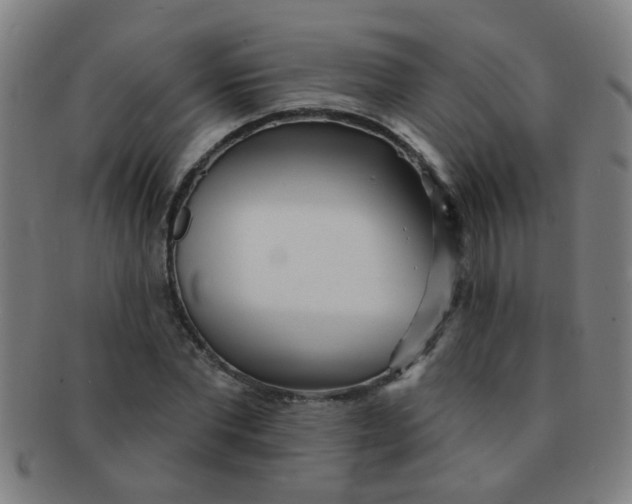 X0000091370877200708241331