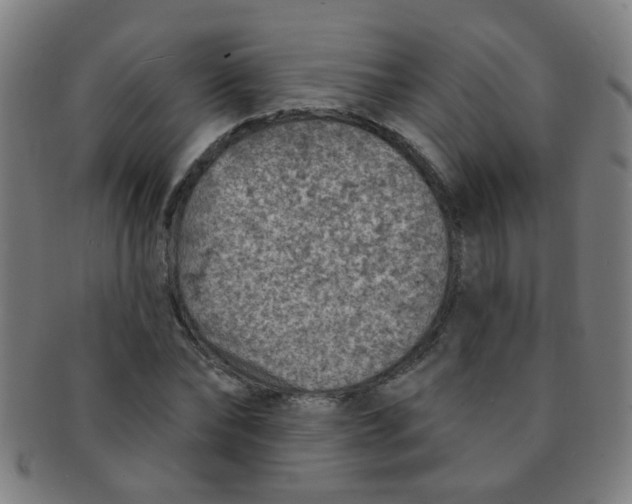 X0000091370878200708241331