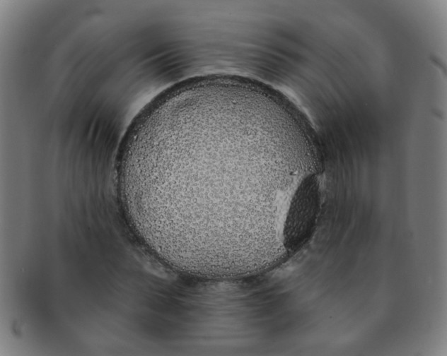 X0000091370879200708241331