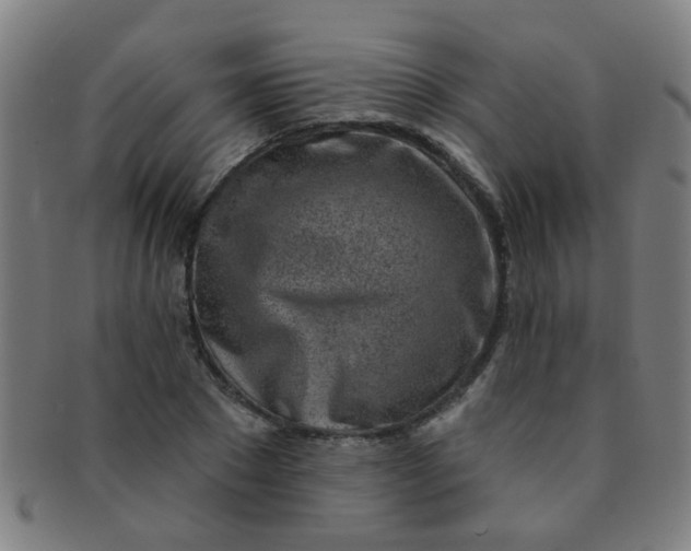 X0000091370881200708241331