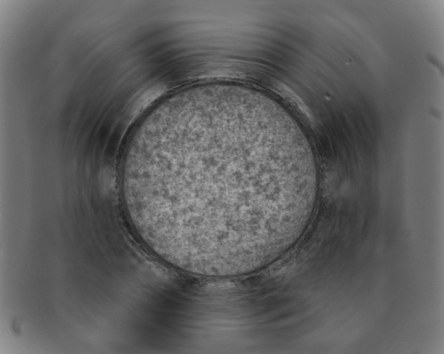 X0000091370882200708241331