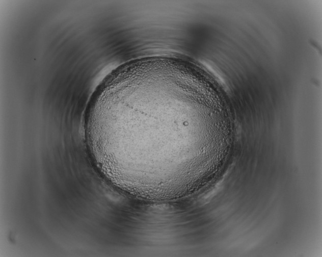 X0000091370883200708241331