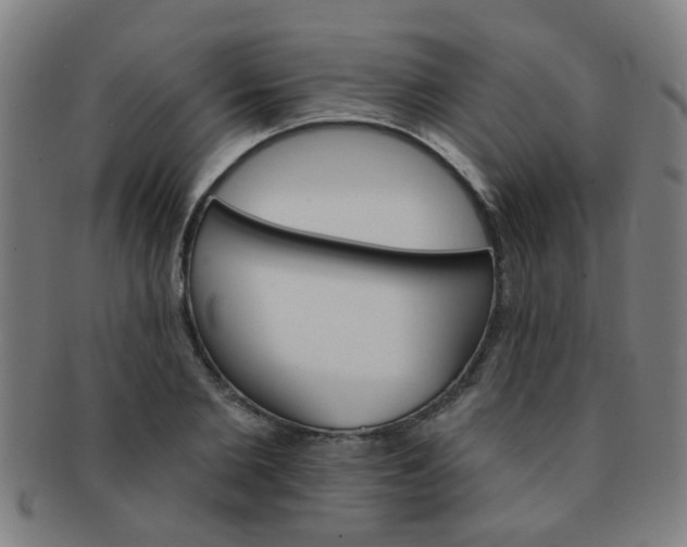 X0000091370885200708241331