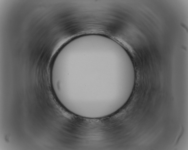 X0000091370886200708241331