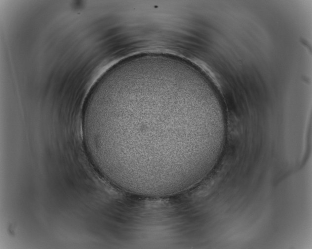 X0000091370887200708241331