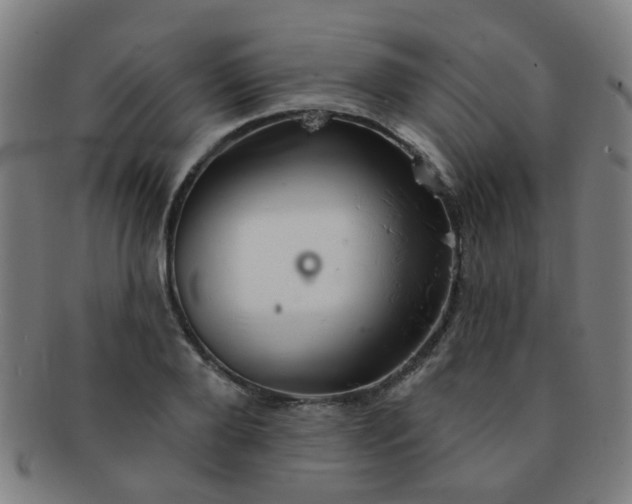 X0000091370888200708241331