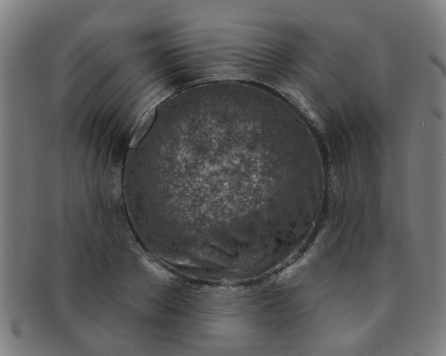 X0000091370889200708241331