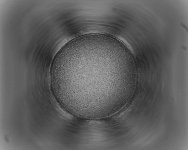 X0000091370890200708241331