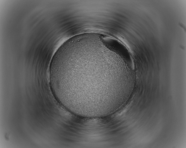 X0000091370891200708241331