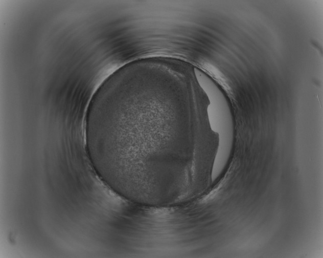 X0000091370892200708241330