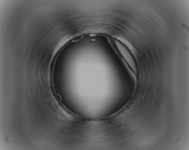 X0000091370894200708241330