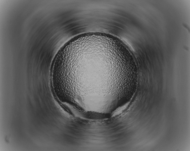 X0000091370895200708241330