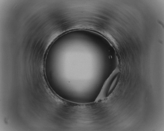 X0000091370896200708241330