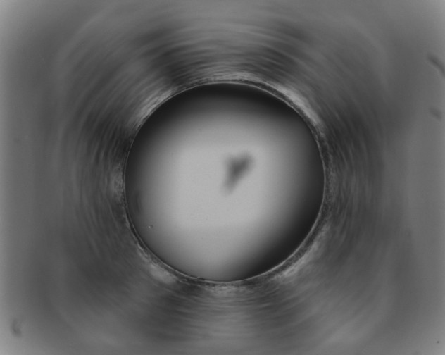 X0000091370897200708241330