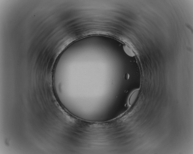 X0000091370898200708241330