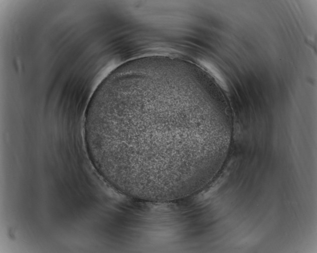 X0000091370899200708241330