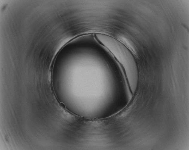 X0000091370900200708241330