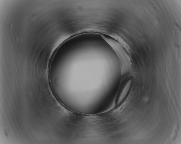 X0000091370902200708241330