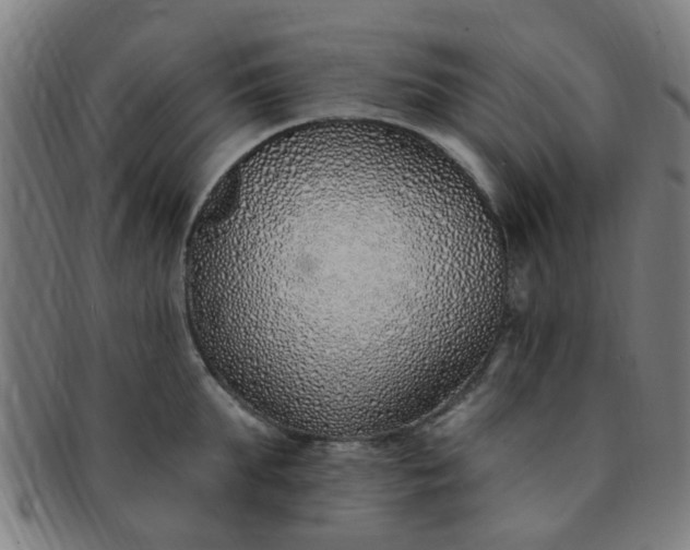 X0000091370903200708241330