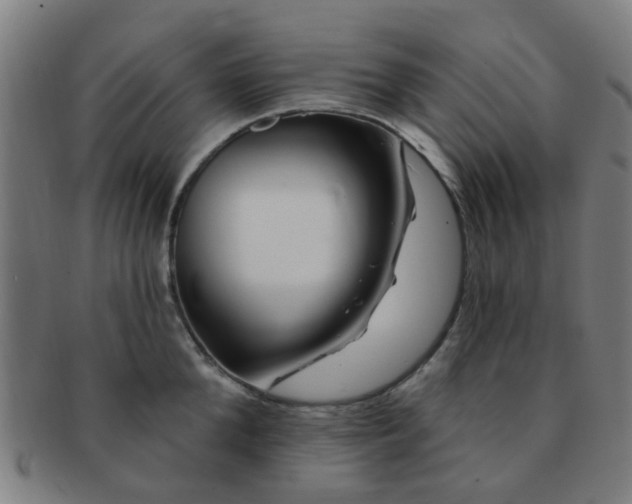 X0000091370904200708241330