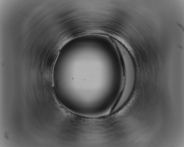 X0000091370905200708241330