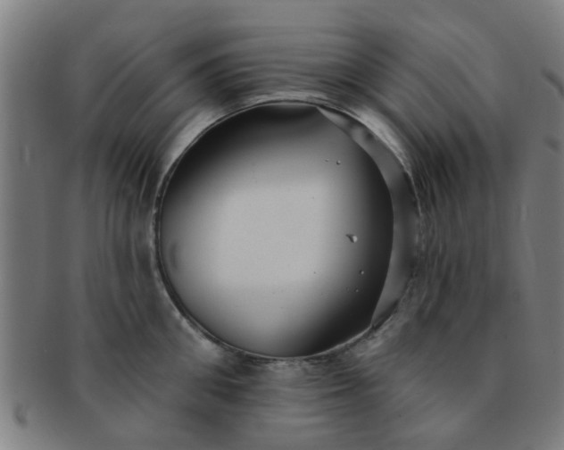 X0000091370906200708241330