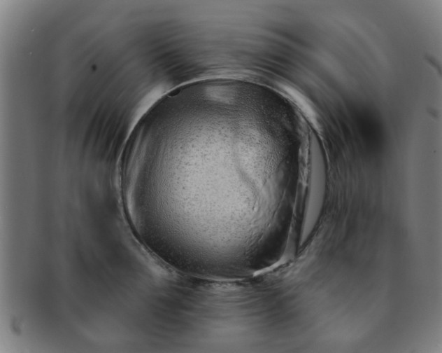 X0000091370907200708241330