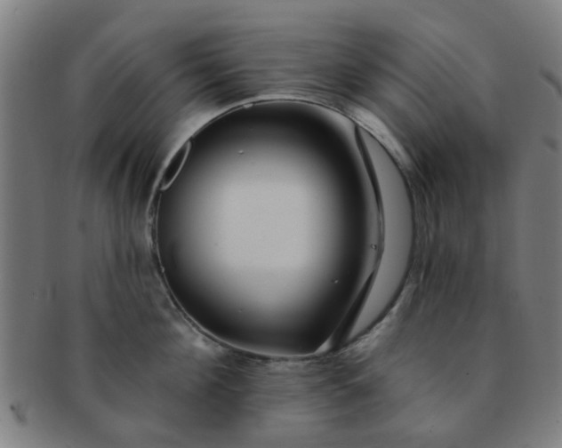 X0000091370908200708241330