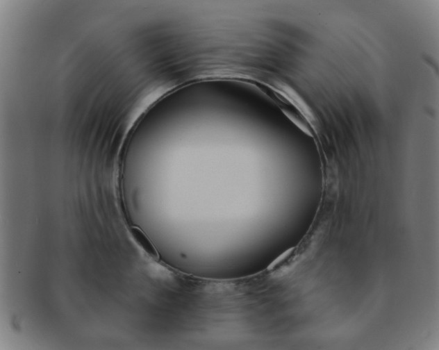 X0000091370909200708241330