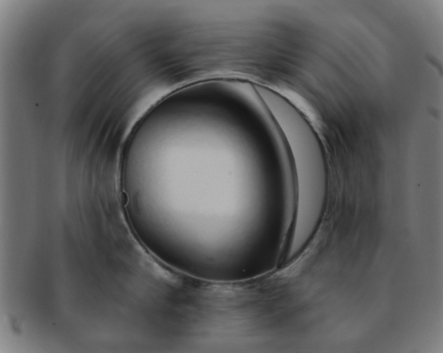 X0000091370910200708241330