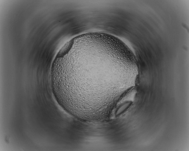 X0000091370911200708241330