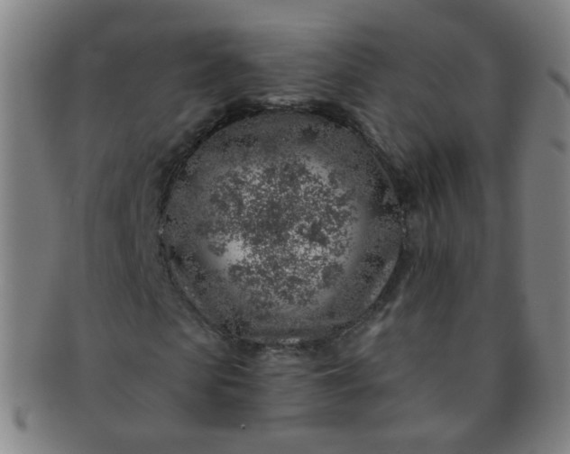 X0000091370913200708241330