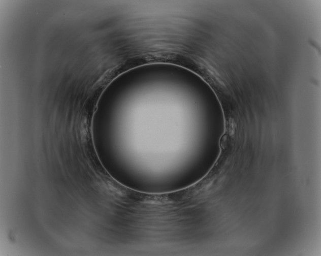 X0000091370915200708241330