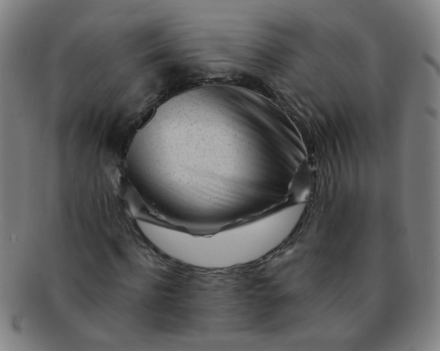 X0000091370916200708241330