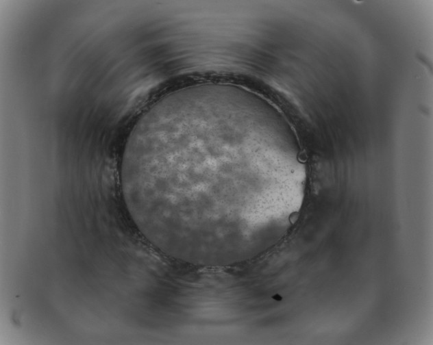 X0000091370918200708241330