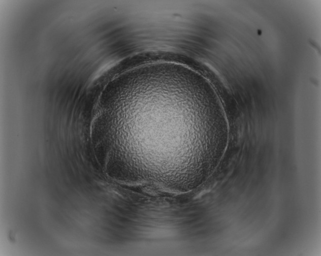 X0000091370919200708241330