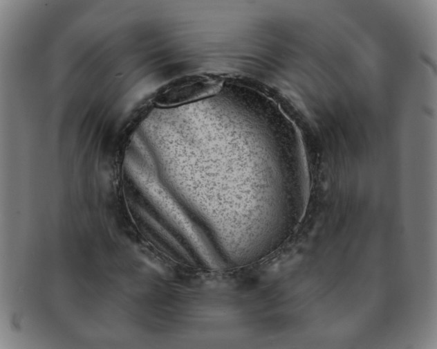 X0000091370920200708241330