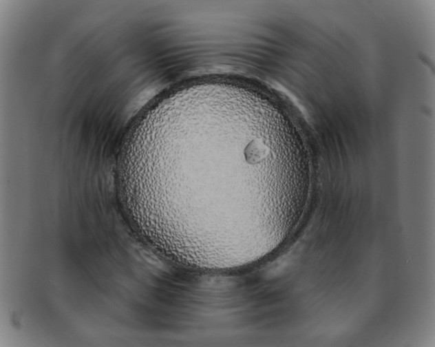 X0000091370921200708241330