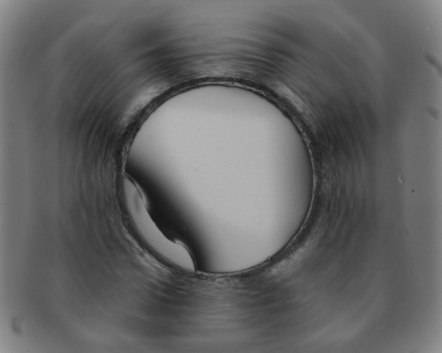 X0000091370922200708241330