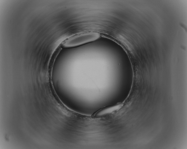 X0000091370924200708241330