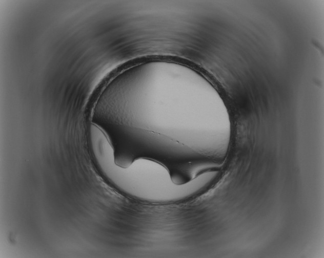 X0000091370926200708241330