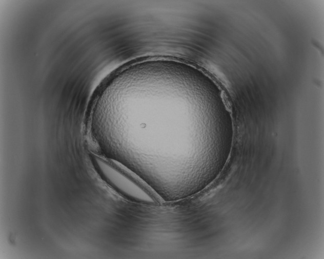 X0000091370928200708241330