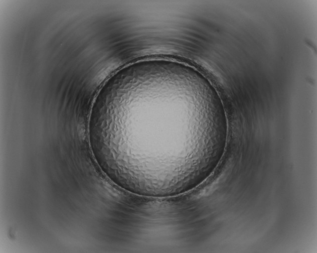 X0000091370929200708241330