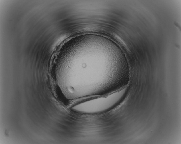 X0000091370930200708241330