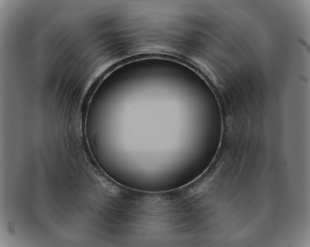 X0000091370931200708241330