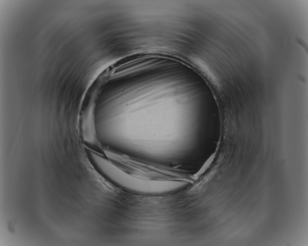 X0000091370932200708241330