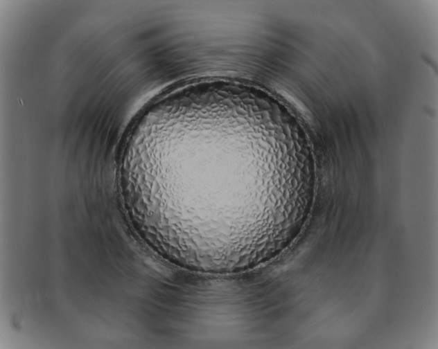 X0000091370933200708241330