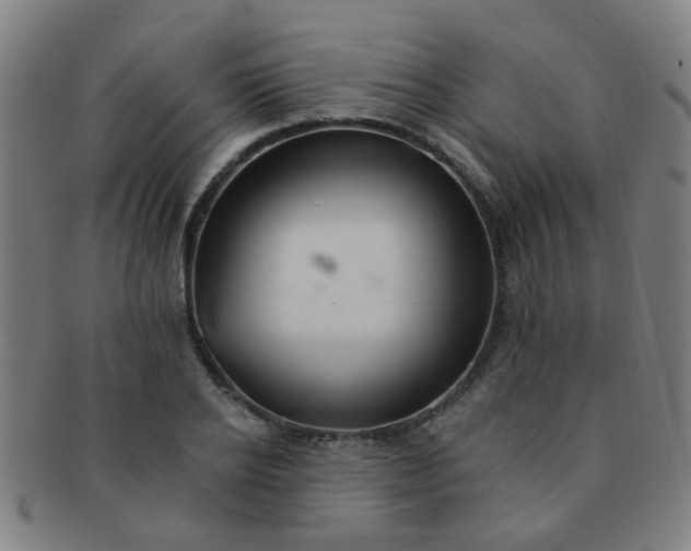 X0000091370934200708241330